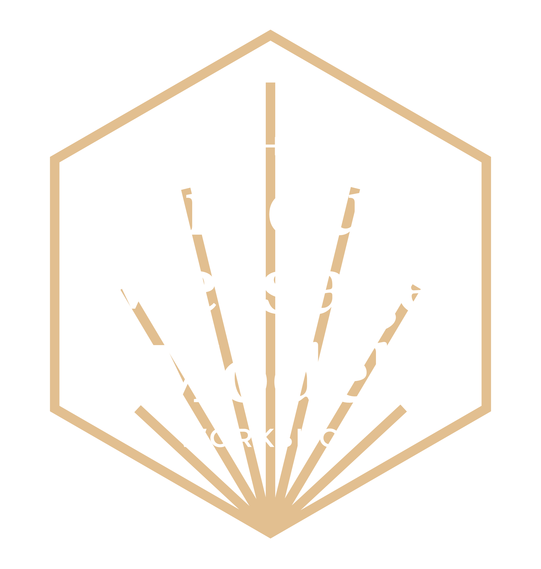 UMM-Workshop_Logo